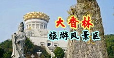 好爽日b硬了视频中国浙江-绍兴大香林旅游风景区